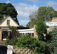 Tipsy Fig - South Australia Travel