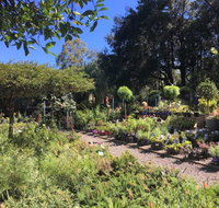 Yatte Yattah Nursery  Cafe - South Australia Travel