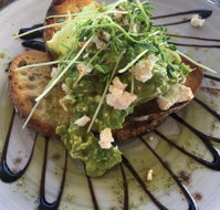 Blue Jay - South Australia Travel