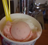 Bermagui Gelati Clinic - South Australia Travel