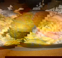 Finn  Co Cafe - South Australia Travel