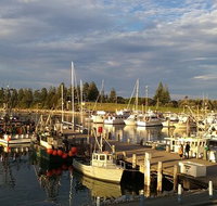 Horse  Camel - South Australia Travel
