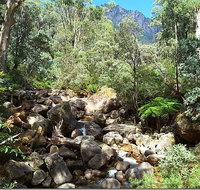 Star Chinese Restaurant - South Australia Travel