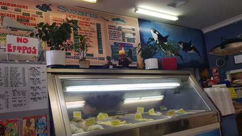 Swans Take Away - South Australia Travel 0