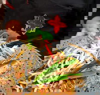 Thai Square Springwood - South Australia Travel