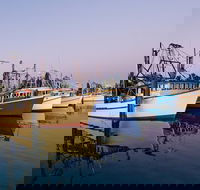 Clarence River Fishermen's Co-Operative - South Australia Travel