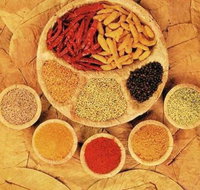 Tehzeeb Indian and Australian Restaurant - South Australia Travel