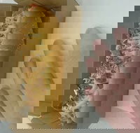 Frank  Beanz - South Australia Travel