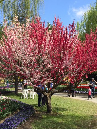 Ngunnawal ACT South Australia Travel