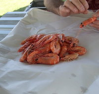 Ballina Fishermen's Co-op - South Australia Travel
