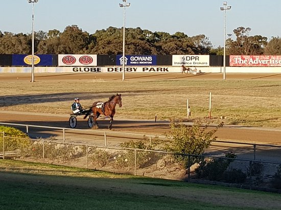 Globe Derby Park SA South Australia Travel