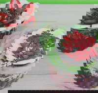 Fresh Blend - Mosman - South Australia Travel