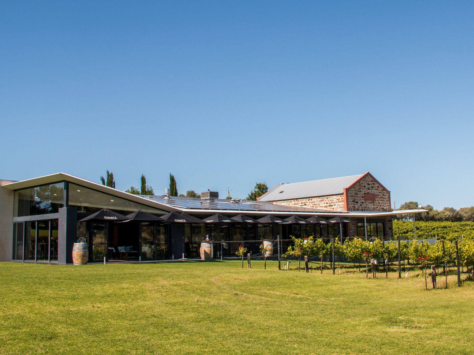 Mclaren Vale SA South Australia Travel