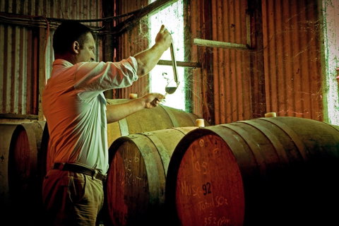 Monichino Wines - South Australia Travel 0