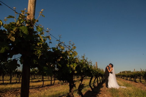 Monichino Wines - South Australia Travel 1