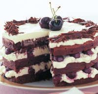 The Cheesecake Shop - Indooroopilly - South Australia Travel