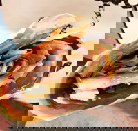 What the Flip - South Australia Travel