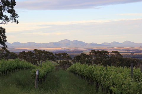 Castle Rock Estate Winery - South Australia Travel 0