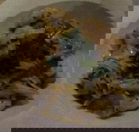 Emerald Village Bakery  Cafe - South Australia Travel