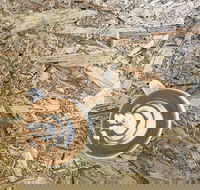 Salt. Coffee Roasters - South Australia Travel