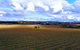 Schubert Estate - thumb 0