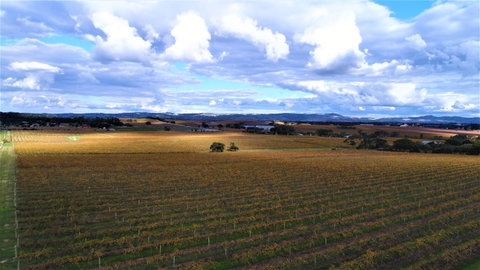 Schubert Estate - South Australia Travel 0