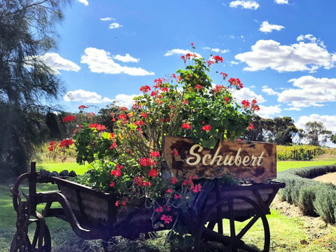 Schubert Estate - South Australia Travel 2