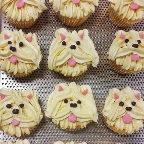 Cupcake Central - Maribyrnong - South Australia Travel 0