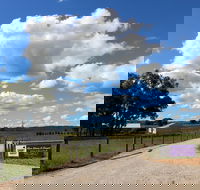 Short Sheep Micro-Winery - South Australia Travel
