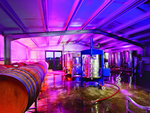 Short Sheep Micro-Winery - South Australia Travel 1