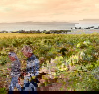 Boston Bay Wines - South Australia Travel