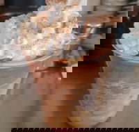 Fresh To Go - South Australia Travel