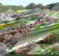 The Farmer's Place - South Australia Travel