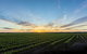 Atze's Corner Wines - thumb 2