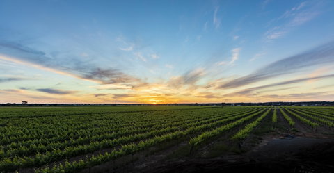Atze's Corner Wines - South Australia Travel 2