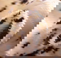 Royal Copenhagen Ice Cream - Glebe - South Australia Travel