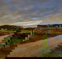 Baarmutha Wines - South Australia Travel