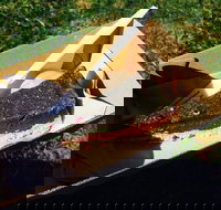 Byron Juice Bar - South Australia Travel