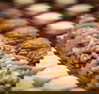 Curry Cottage - South Australia Travel