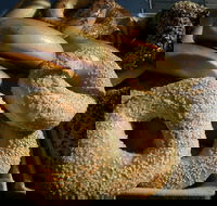 NYC Bagel Deli - Fortitude Valley - South Australia Travel