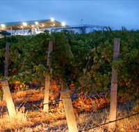 Haselgrove Wines - South Australia Travel