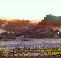 Howling Wolves Wines - South Australia Travel