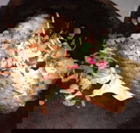 Nautilus - South Australia Travel