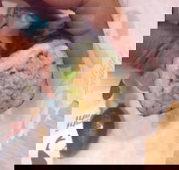 Sebastian's Food  Wine - South Australia Travel