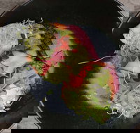 Crowded House - South Australia Travel