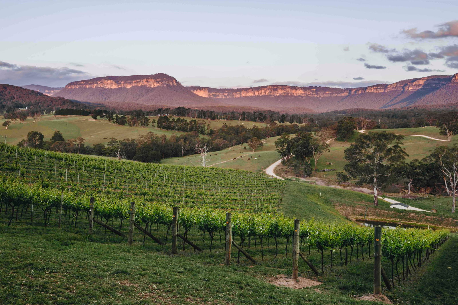 Megalong Valley NSW South Australia Travel