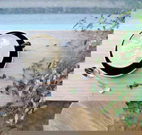 Glasshouse Hampton - South Australia Travel