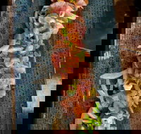 Yorokobi - South Australia Travel