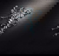 PJ O'Reilly's Irish Pub - South Australia Travel