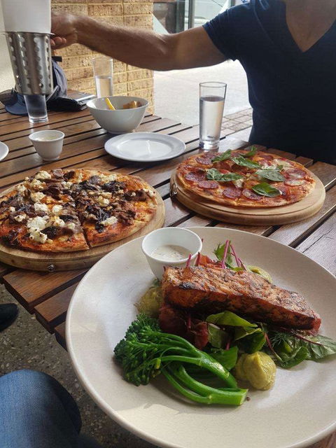 Whistling Kite - South Australia Travel 0